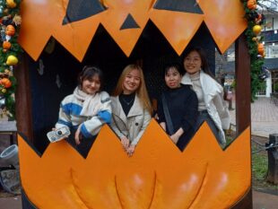 {{brizy_dc_image_alt entityId=