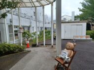 {{brizy_dc_image_alt imageSrc=