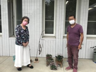 {{brizy_dc_image_alt entityId=