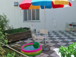 {{brizy_dc_image_alt entityId=