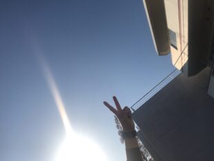 {{brizy_dc_image_alt entityId=