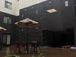 {{brizy_dc_image_alt entityId=