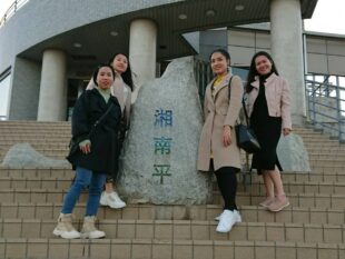 {{brizy_dc_image_alt entityId=