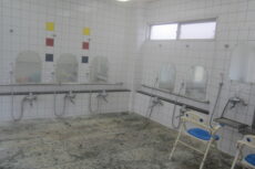 {{brizy_dc_image_alt imageSrc=