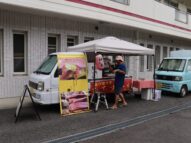 {{brizy_dc_image_alt imageSrc=